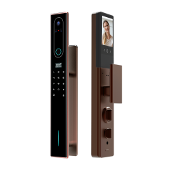 q2-brown_700791854