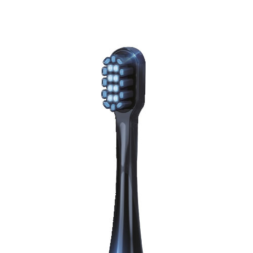 blackbrush_1