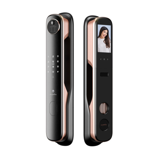 n1_1000px_1735708528